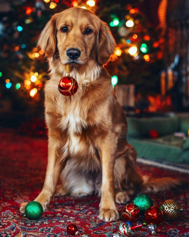 Милоты пост