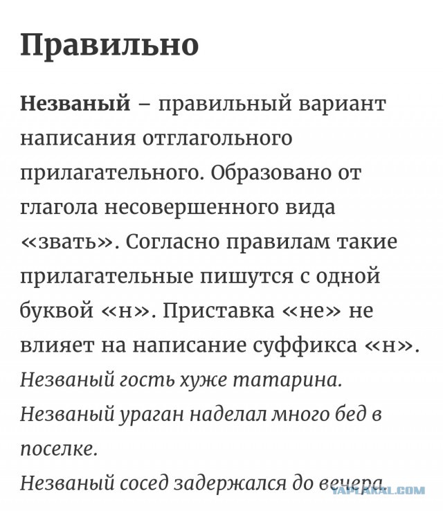 Пиво, сосиски, мусульмане: странности современной Германии