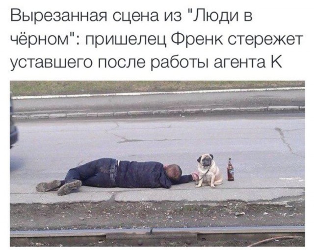 Скотсети и прочие интернеты 21.01.19