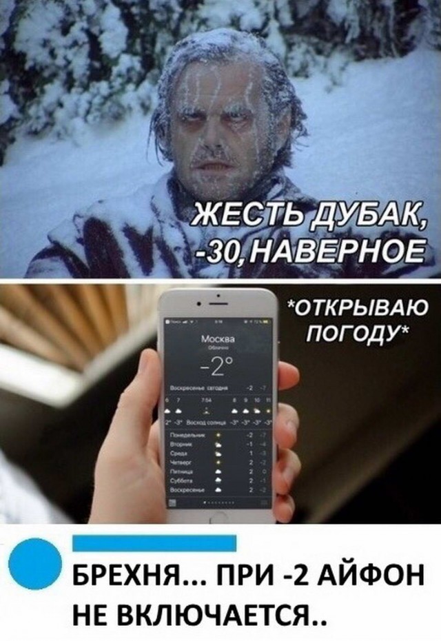 Бредзона из картинок