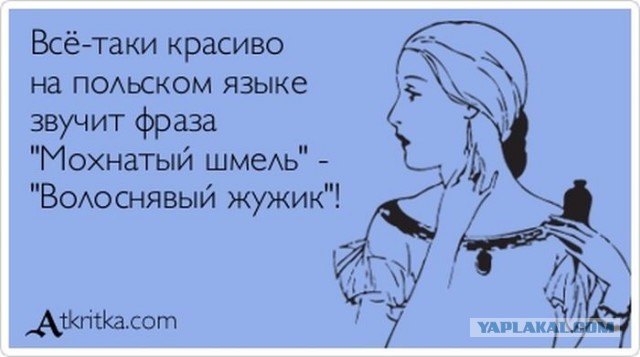 Бредзона 08.01.20