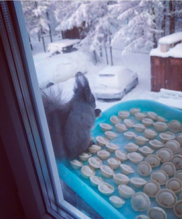 Белочка