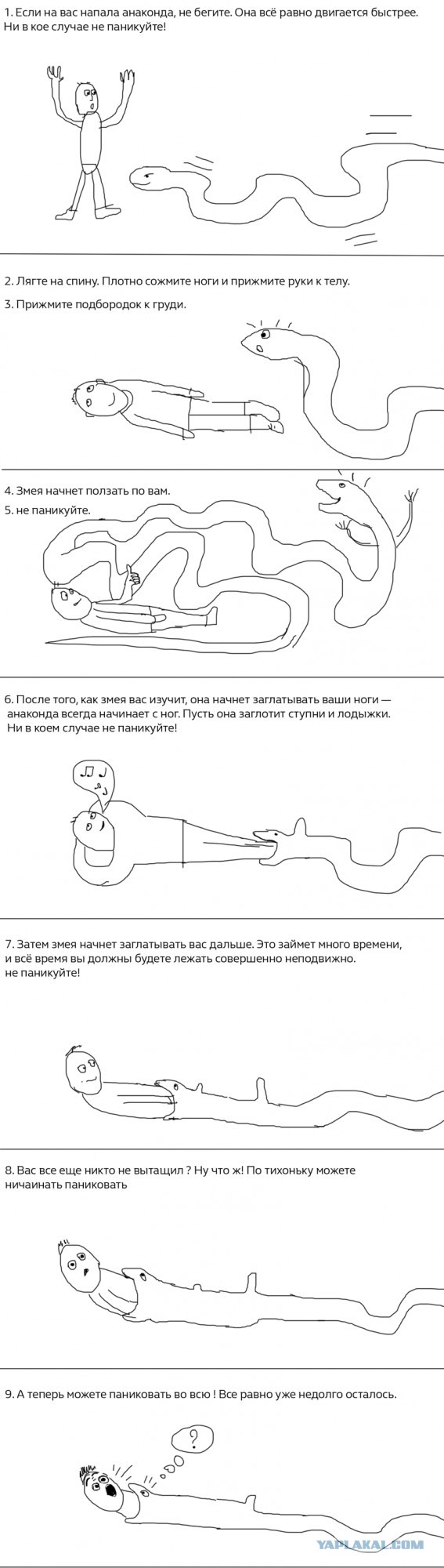 Он не кусается, он просто поиграться хотел ...