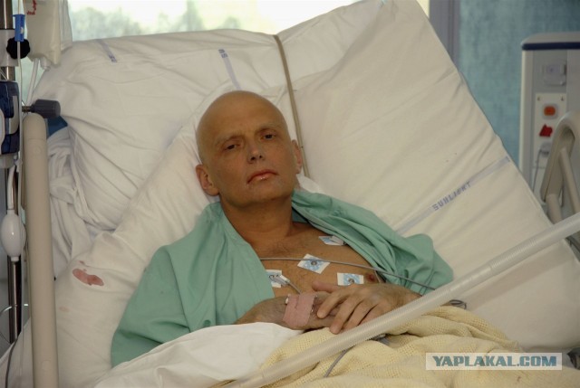 Алексей Навальный находится без сознания после отравления и экстренной посадки самолета в аэропорту Омска