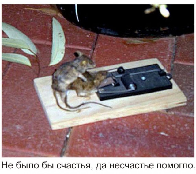 Пословицы
