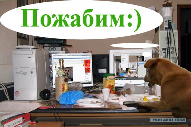 Фотожаба: Собака с Девушкой