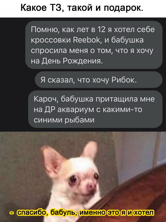 Кретинизмы из сети Night Edition 9.02.21