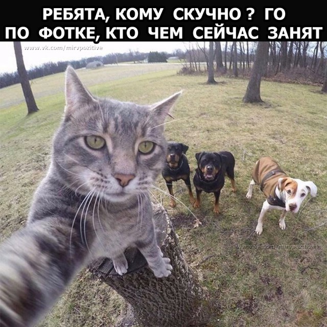 Картинки разные 16.02.2021