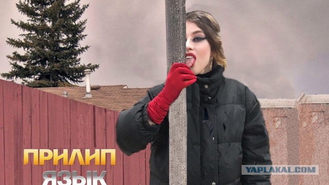 Скотсети и прочие интернеты 26.03.21