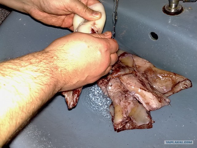 Фаршированный кальмар по Дженибековски.