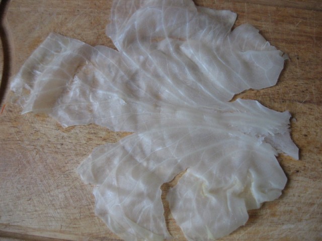 Капуста International, Наступила осень, отцвела капуста...