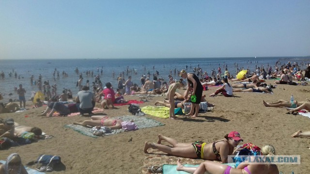 Питер превращается в курорты Краснодарского края...