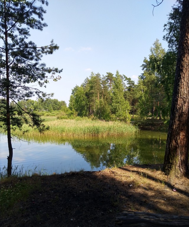 Жара, а многие женщины на улице в джинсах (лосинах), почему?