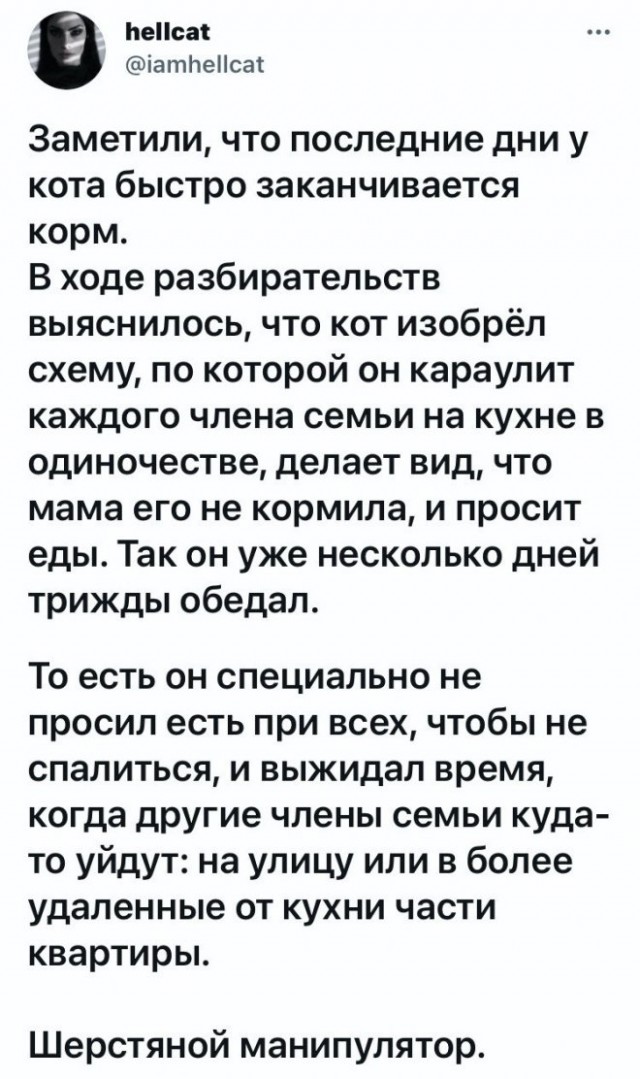 Картинки и мемы для настроения 28.06.2021