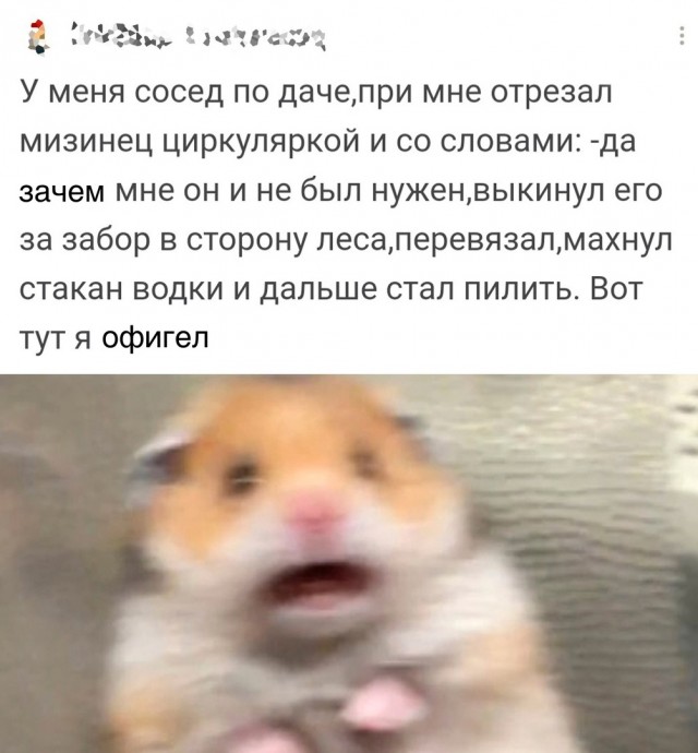 Так себе картинки 15.11.21