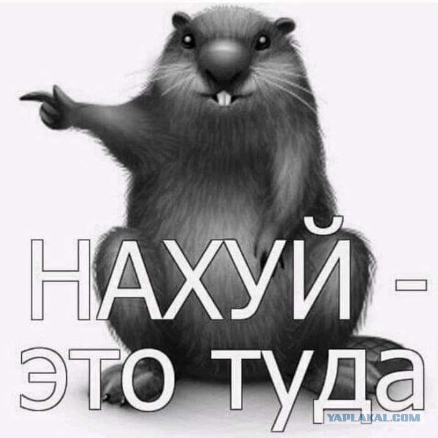 Знакомства