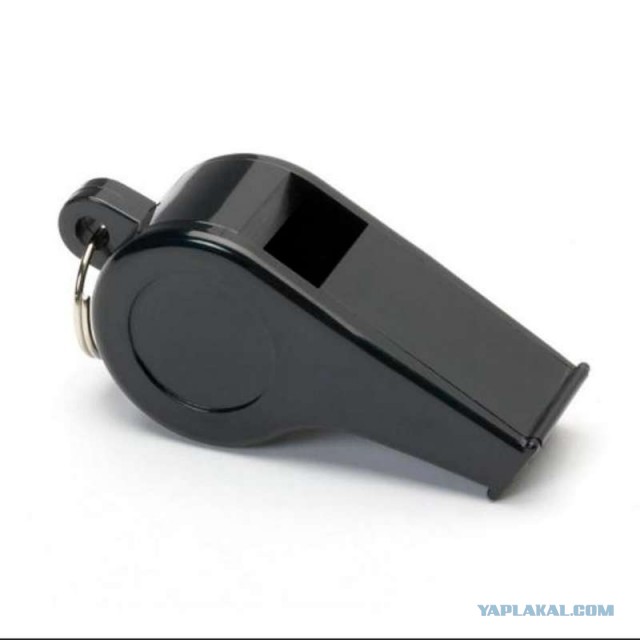 Илон Маск представил для фанатов новый товар — Cyberwhistle. Это киберсвисток из нержавеющей стали за 50 долларов