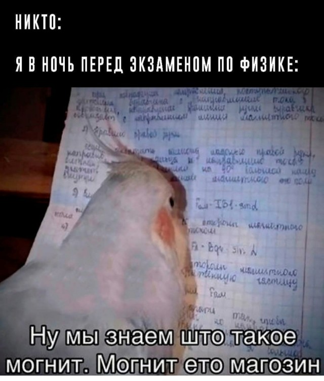 Картинки на разную тематику
