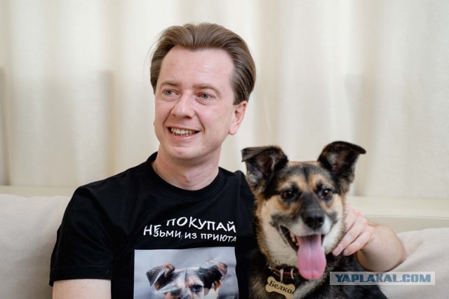 «Собаки содрали с женщины скальп, отгрызли ей кисти рук». За гибель пермячки будут судить чиновницу