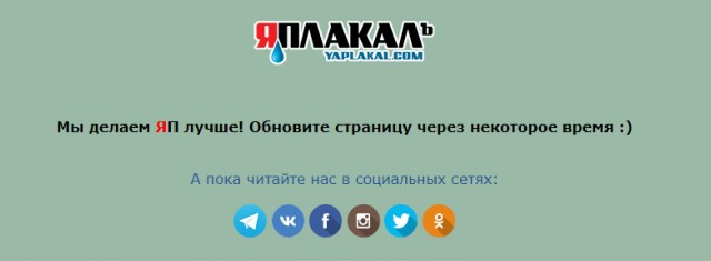 Отзыв о приложении ЯП и ответ разработчиков