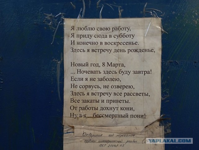 Настенная жизнь обычного завода
