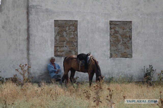 Крым. Евпатория, Ялта... да и вообще на машине