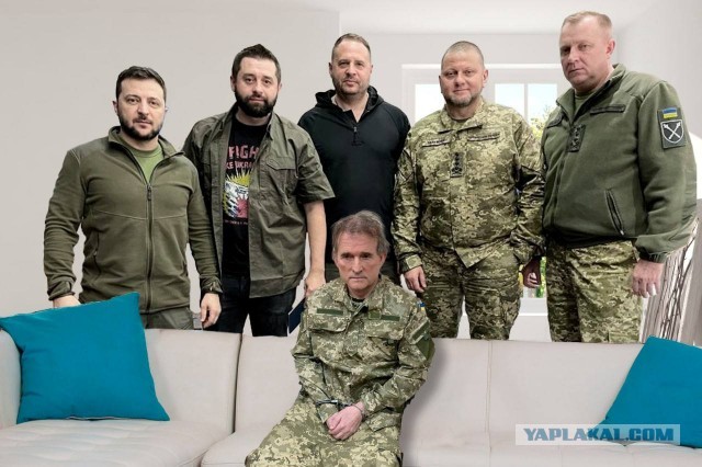 Поймали Медведчука