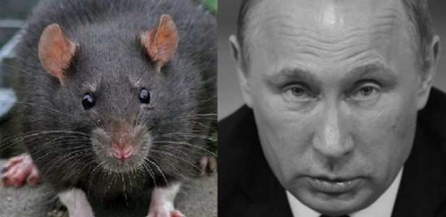 Путин поговорил с народом в Калининграде