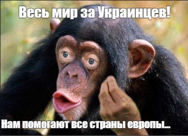 Глава МИД Украины Кулеба заявил, что у ЕС нет права уставать от помощи Киеву