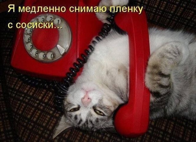 Всего понемногу 06.03