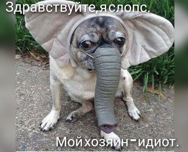 Нуштош 11.03.23