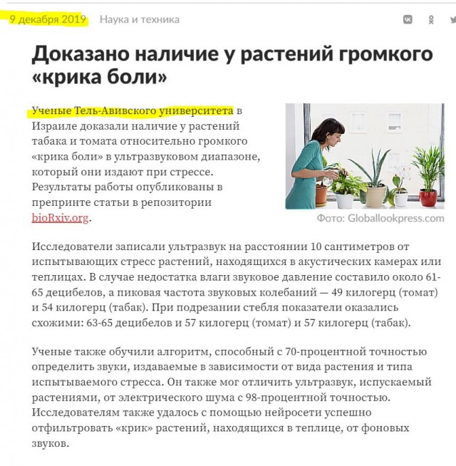 Растения издают звуки, чувствуют угрозу и защищаются. Исследование учёных