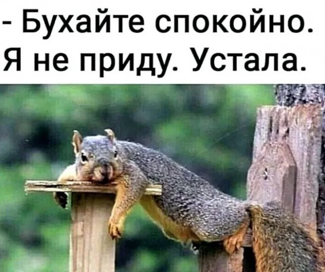 0,5