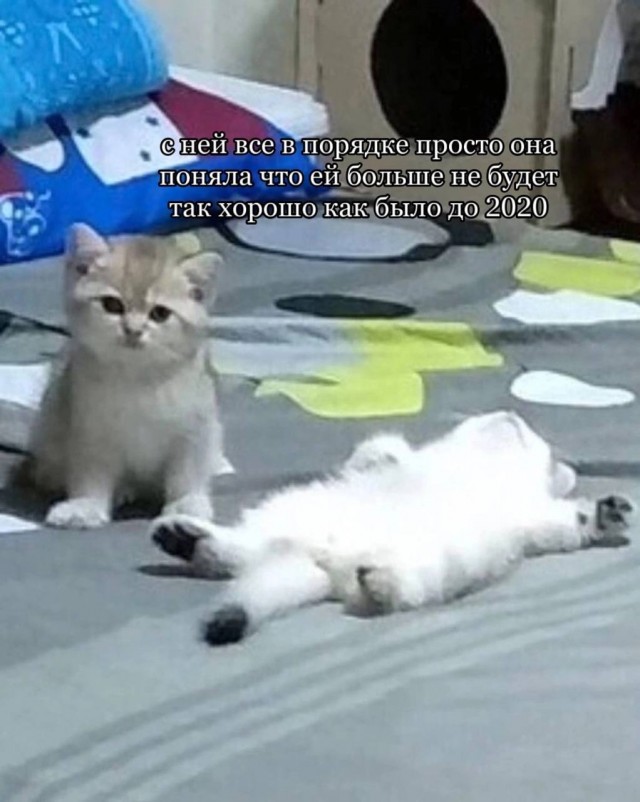 Картинки и мемы, всяко разно - 175