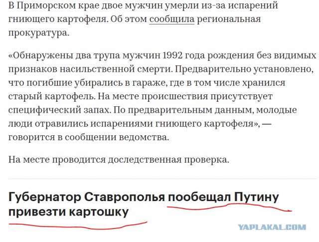Во Владивостоке два молодых парня надышались гнилой картошкой и скончались