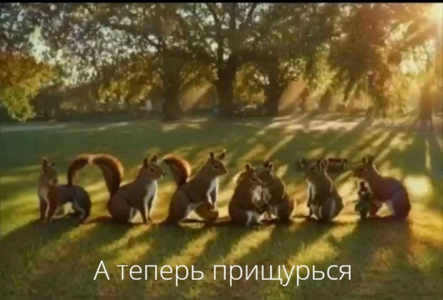 Всего понемногу. От 19.10.23