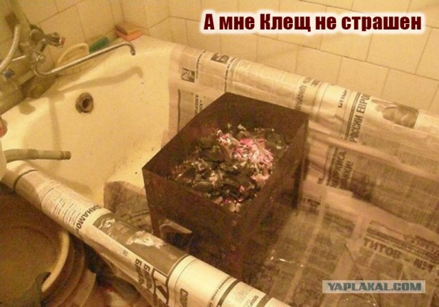 Майские праздники