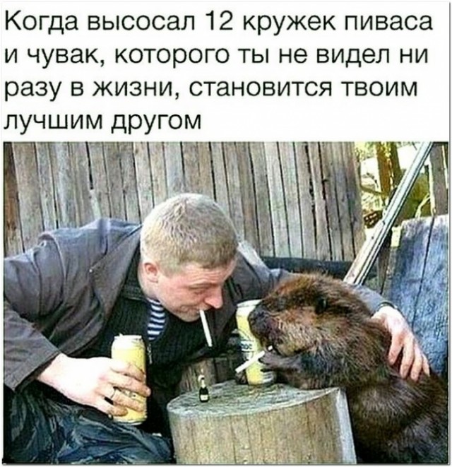 А вот и пятница!