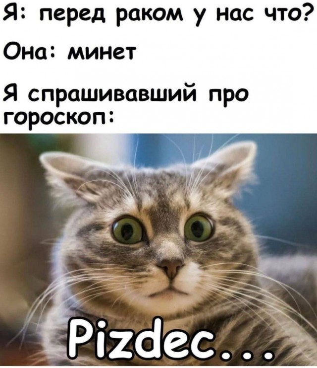 Ну штош, продолжим пОшло деградировать