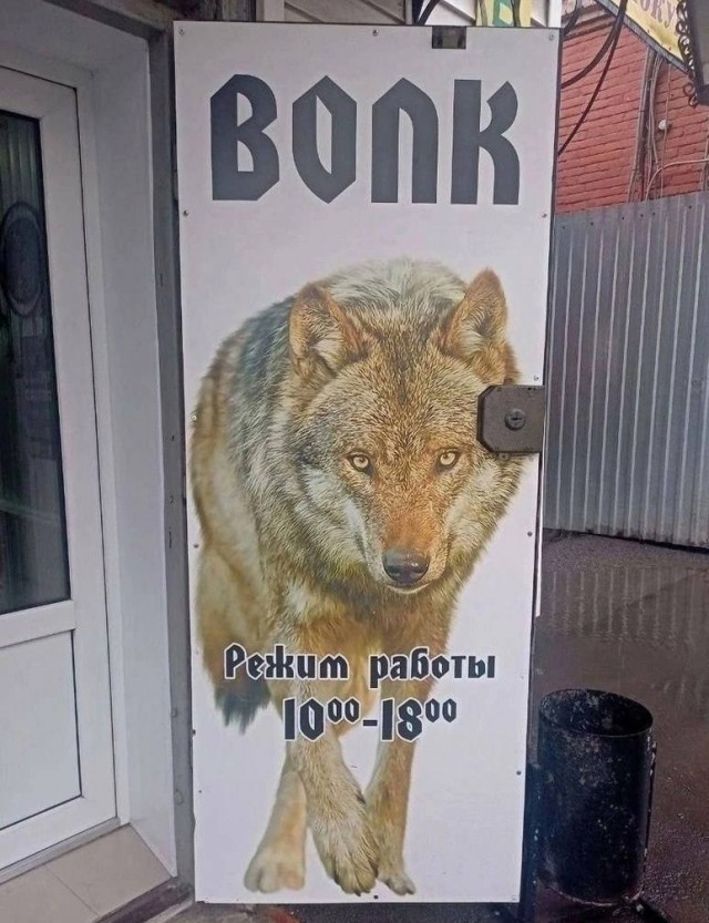 Немного наркомании и шизофрении в ленту