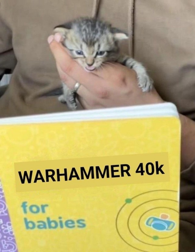 Учитель ОБЖ целый год пересказывал ученикам лор Warhammer 40000 на уроках «разговоров о важном»