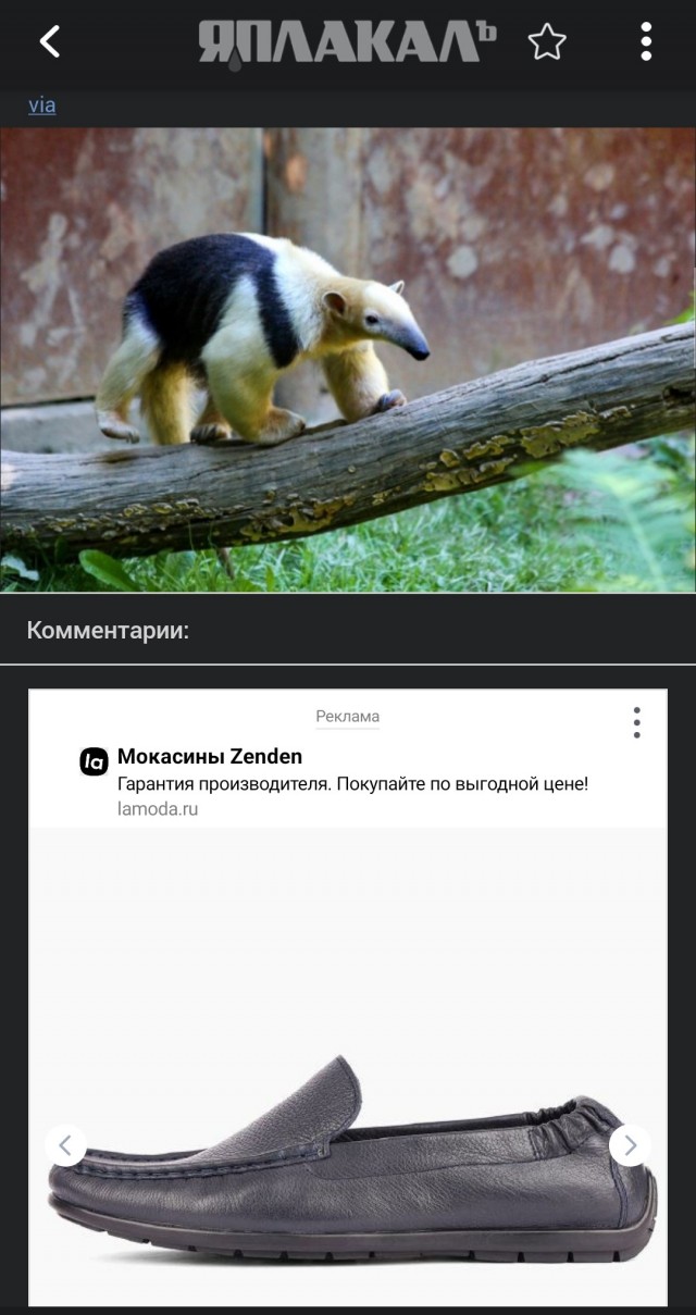 5 самых неприятных запахов в мире
