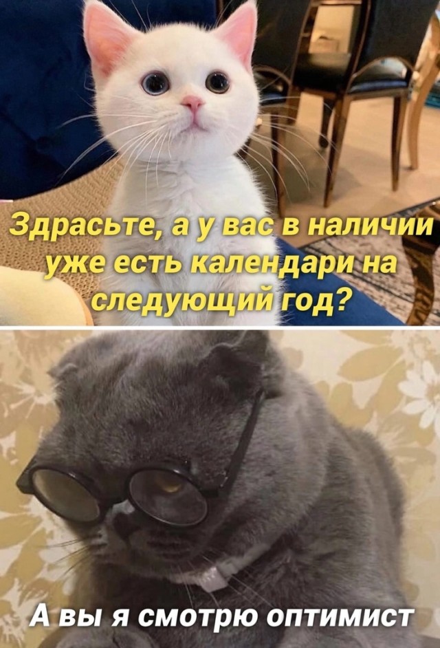 Так себе картинки 28.12.24