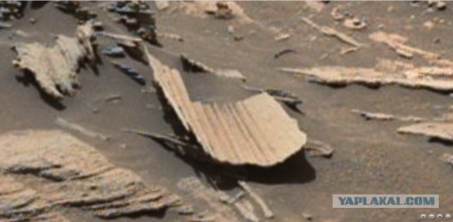 Жизнь на Марсе Есть.