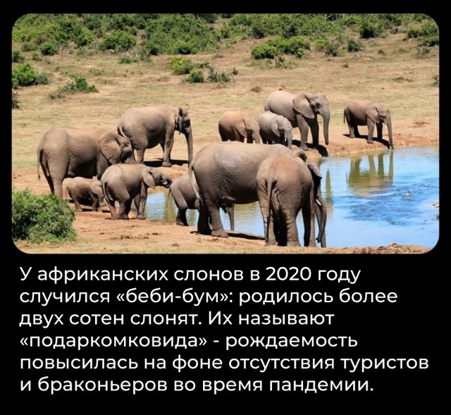 Всячина