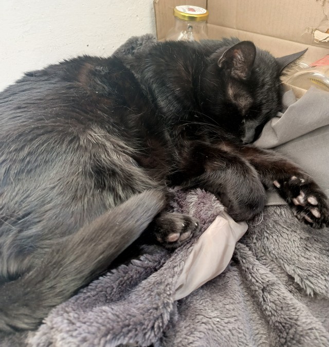 Веснааа! На волю!