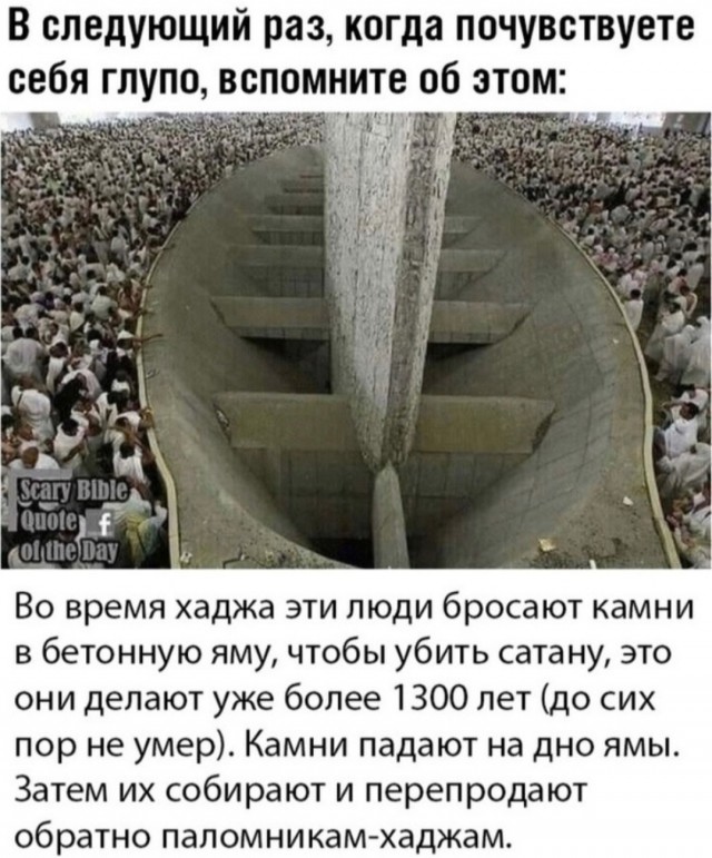 Веселые картинки в понедельник (12.05)