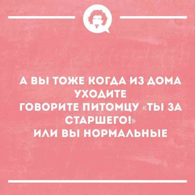 Интернет-мемчики на вторник и рабочее место