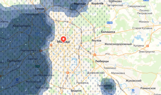 «Природа» тарелочниц
