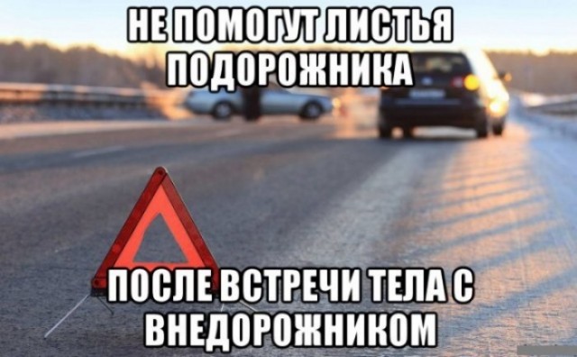 Соточка. Внеплановая. Дичь.